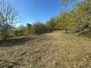 Photo de galerie - Nettoyage terrain après 