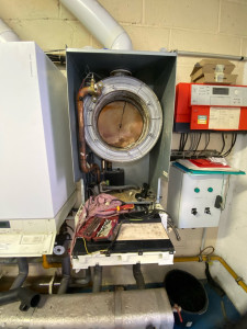 Photo de galerie - Entretien, chaudière Viessmann