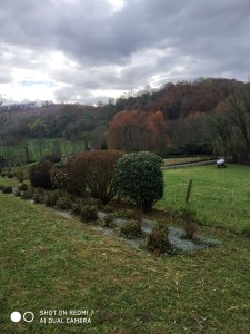 Photo de galerie - Taille des arbustes et nettoyage