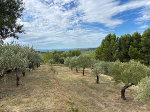 Photo de galerie - Entretien annuel jardin 