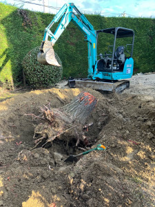 Photo de galerie - Enlèvement d’une souche de pin 