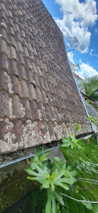 Photo de galerie - Couverture - Toiture