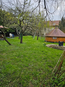 Photo de galerie - Tonte de pelouse - Débroussaillage