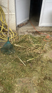 Photo de galerie - Nettoyage, garage, jardin, grenier