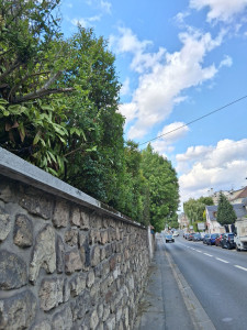 Photo de galerie - Taille de haies et d'arbustes