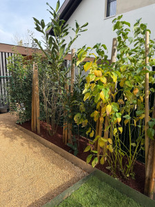 Photo de galerie - Creation mineral, gazon de plaquage, massif pouzolane, et pose de bordure corten