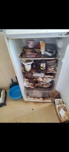 Photo de galerie - Un frigo très sale 