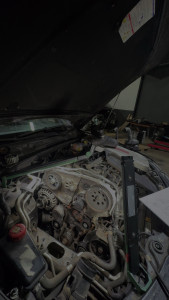 Photo de galerie - Courroie de distribution 