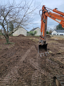 Photo de galerie - Nettoyage complet d un terrain,  compris le dessouchage et évacuation des souches a Villemendeur 