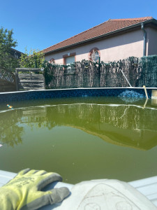 Photo de galerie - Entretien piscine