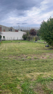 Photo de galerie - Tonte de pelouse - Débroussaillage