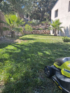 Photo de galerie - Tonte et entretien 