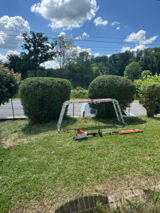 Photo de galerie - Taille de haies et d'arbustes