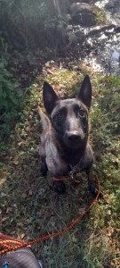 Photo de galerie - Pas peur également et très fan et passionnée 