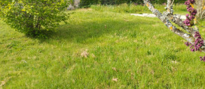 Photo de galerie - Avant 