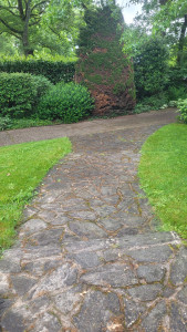 Photo de galerie - Jardinier