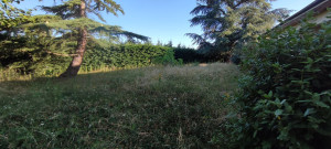 Photo de galerie - Avant 