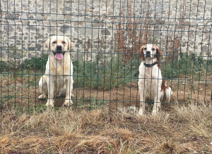 Photo de galerie - Visite à domicile 