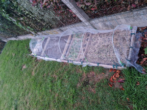 Photo de galerie - Serre en cours chez moi :)