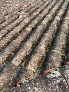 Photo de galerie - Nettoyage toiture 