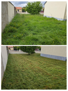Photo de galerie - Tonte de pelouse - Débroussaillage