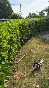 Photo de galerie - Service d’entretien de jardin 