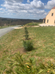 Photo de galerie - Plantations 