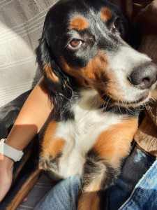 Photo de galerie - Ava