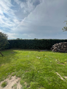 Photo de galerie - Taille de haie / après 