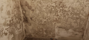 Photo de galerie - Cave avant