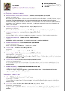 Photo de galerie - Expérience en animation / handicap 