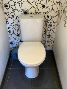 Photo de galerie - Remplacement WC ? 