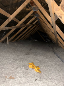 Photo de galerie - Isolation Soufflée 35cm en Laine Minérale avec pare-vapeur sur Solives