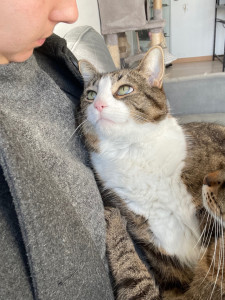 Photo de galerie - Garde de pitchu