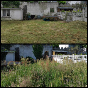 Photo de galerie - Tonte de pelouse - Débroussaillage