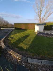 Photo de galerie - Tonte 