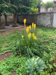 Photo de galerie - Propre