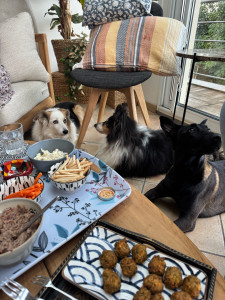 Photo de galerie - Garde de 5 chiens