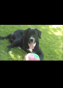 Photo de galerie - ❤️