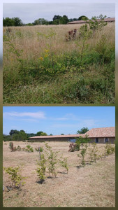 Photo de galerie - Un sacré chantier de 3 jours sous la chaleur.

Mission accomplie, clients satisfaits.