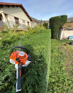 Photo de galerie - Taillage de hais 
à montayral