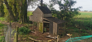 Photo de galerie - Paysagiste - Aménagement du jardin