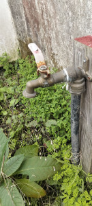 Photo de galerie - Remplacement de robinet jardin 