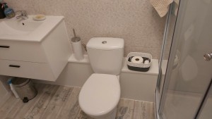 Photo de galerie - Creation d un cache tuyauterie sur mesure servant de petit étagère et epousant les forme du wc 