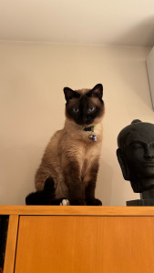 Photo de galerie - Visite à domicile 