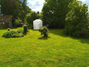 Photo de galerie - Tonte et débroussaillage - Après