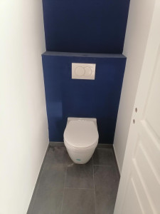 Photo de galerie - Tout type de toilettes