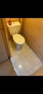 Photo de galerie - Nettoyage et désinfection du WC plus désinfection du sol 