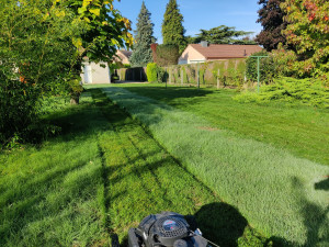 Photo de galerie - Tonte de pelouse