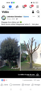 Photo de galerie - Je fais toute coupe d'arbre le travail bien fait